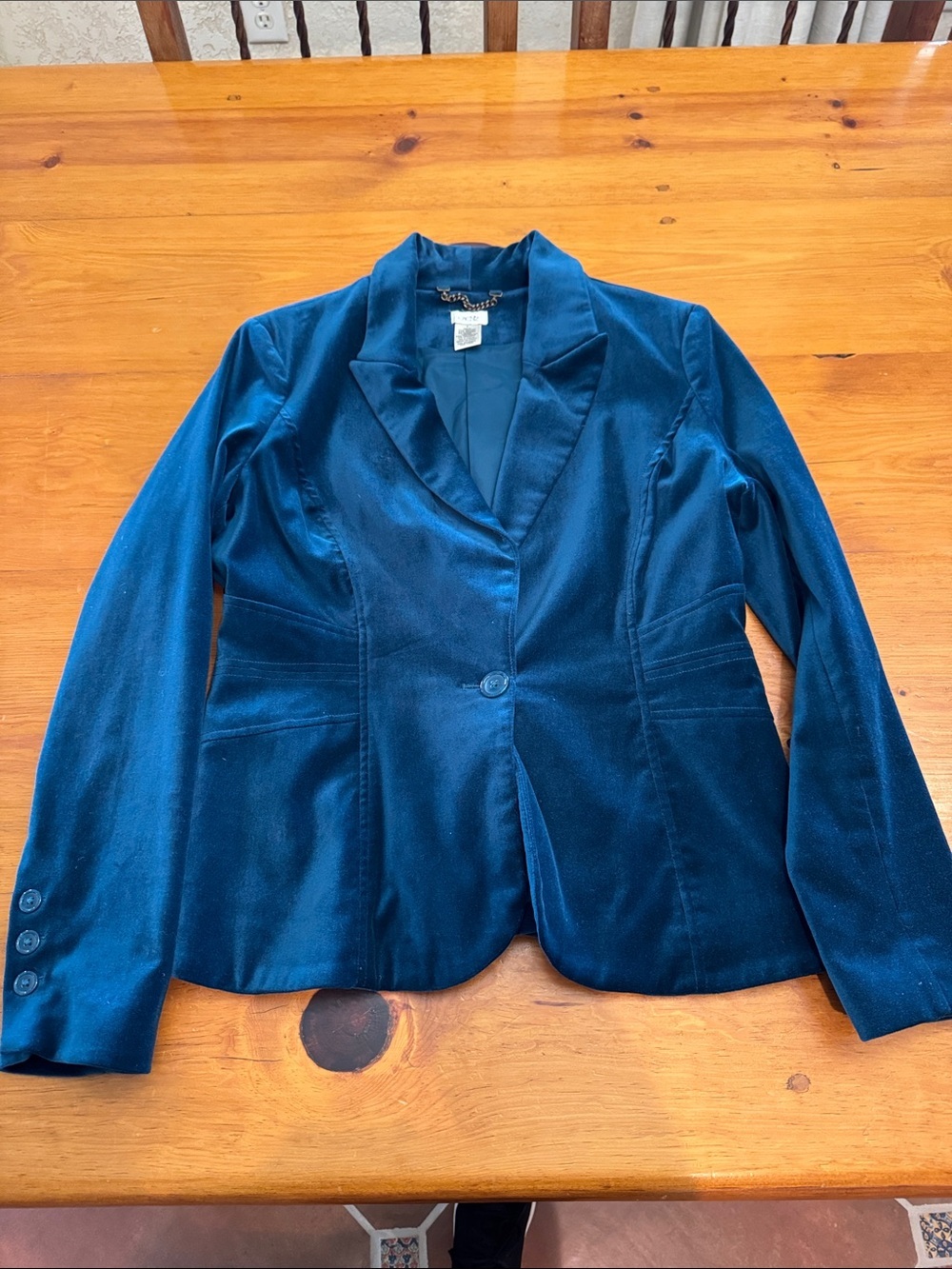 Cache Teal Velvet Blazer and Pants Set - Picture 3 of 13